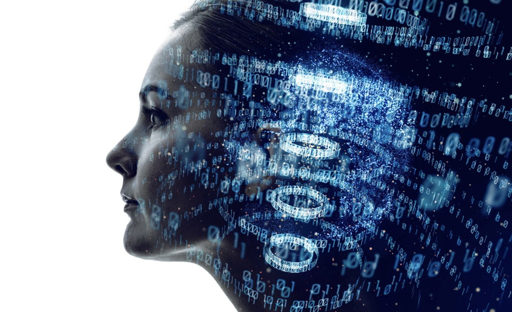 Digital Detox Retreats: Escaping Screens in a Hyperconnected World