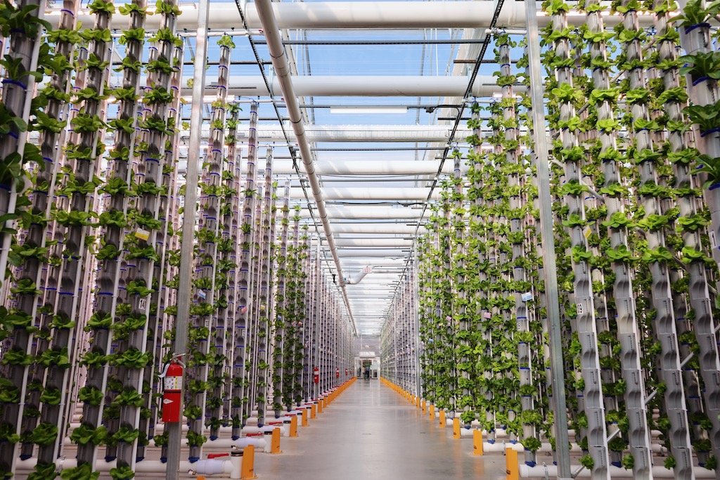 As sea levels rise, can Singapore ratchet up the ambition of its ... The Rise of Urban Farming Apartments: Fresh Food in High-Rise Living