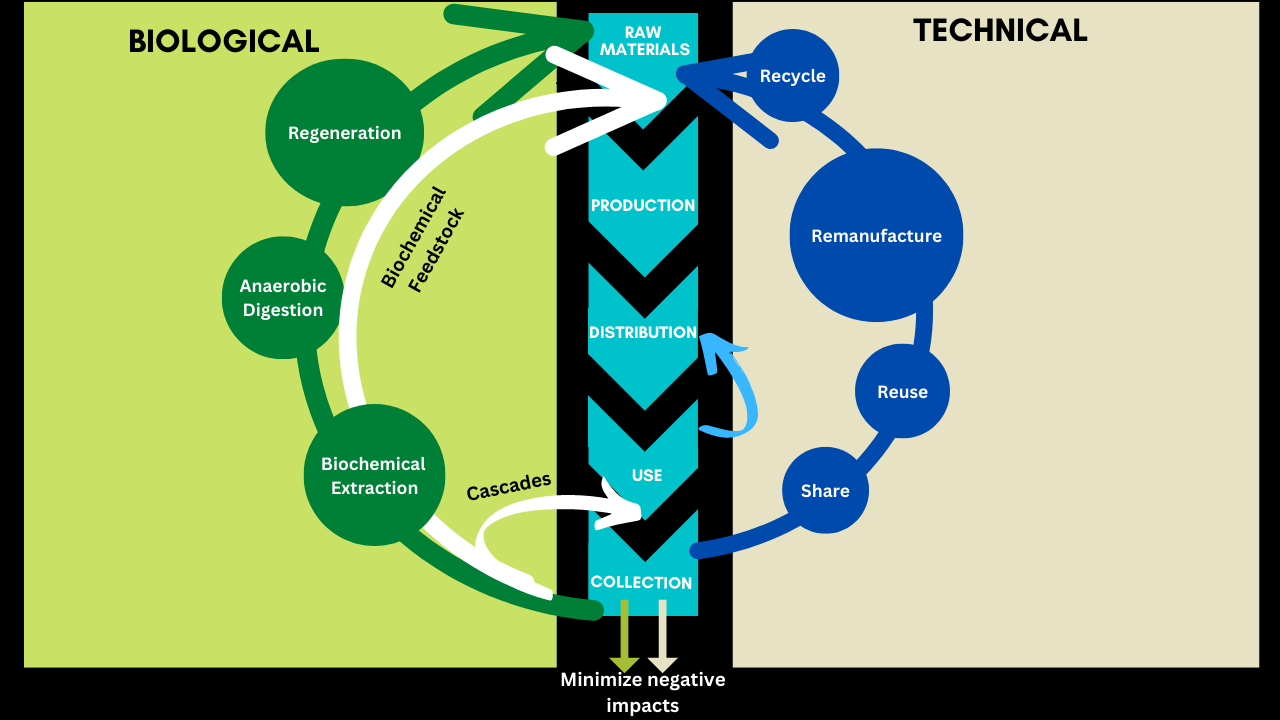 The Circular Economy at Home: Everyday Practices for a Waste-Free Future