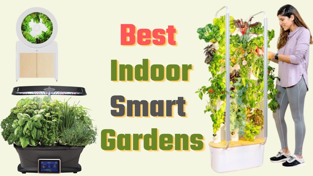 Vertical Farming In The Kitchen The Rise Of Smart Indoor Gardens Vertical Farming In The Kitchen The Rise Of Smart Indoor Gardens